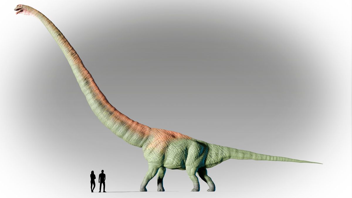Dinosauří rekordman měl krk dlouhý 15 metrů, uvádějí paleontologové